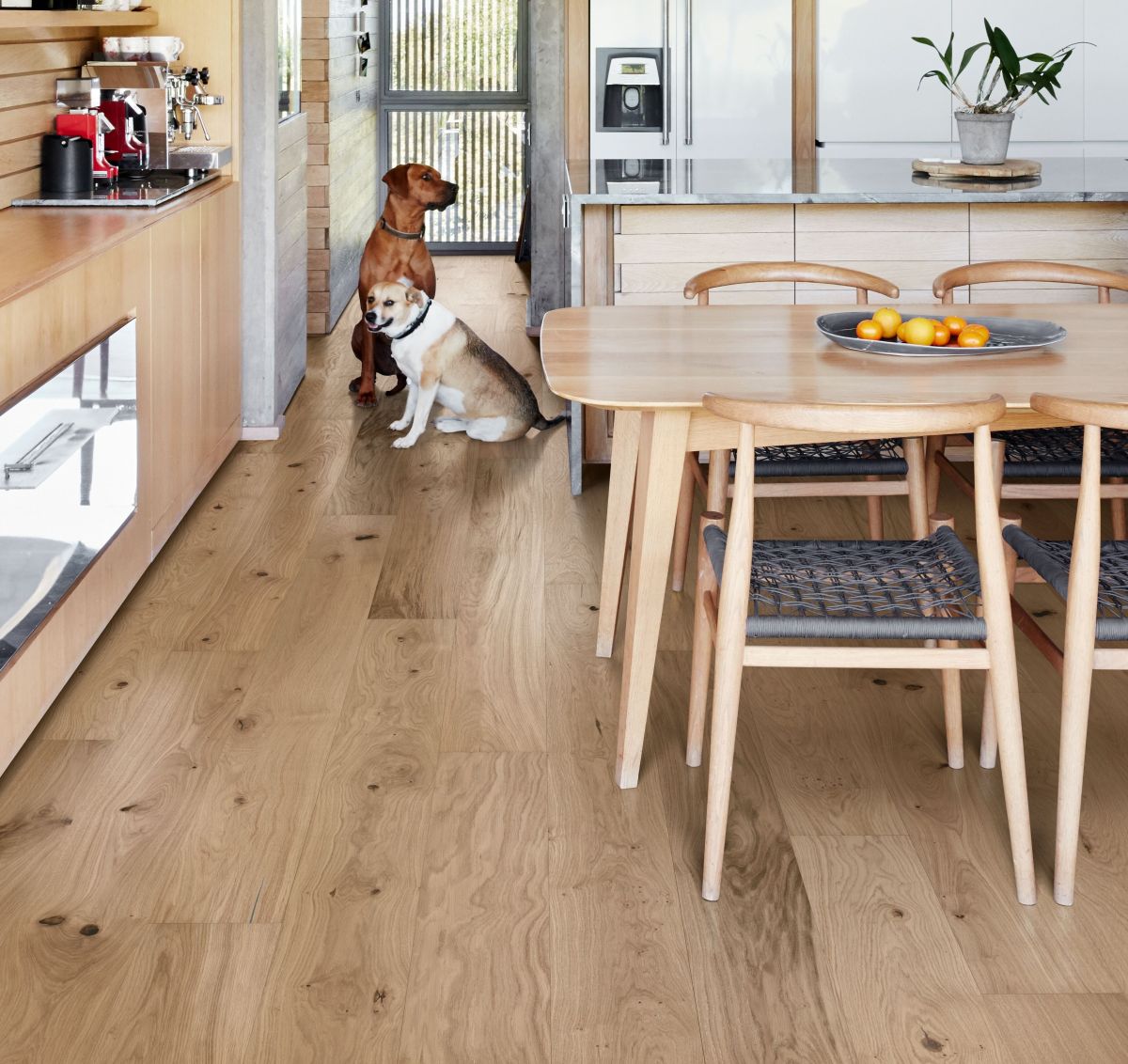 Exomobilier - Semi massif - Pose à 1€ - Chêne Gentian